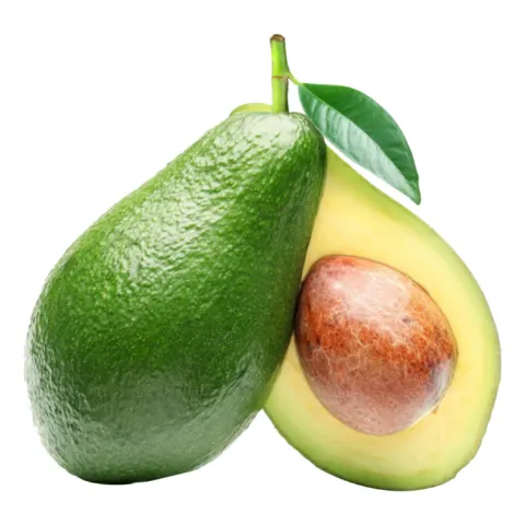 أفوكادو