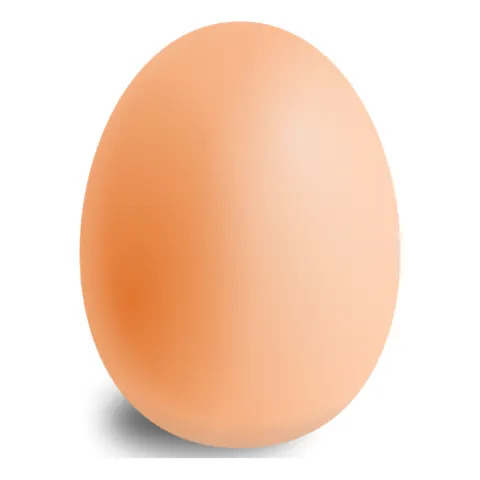 بيض أبيض