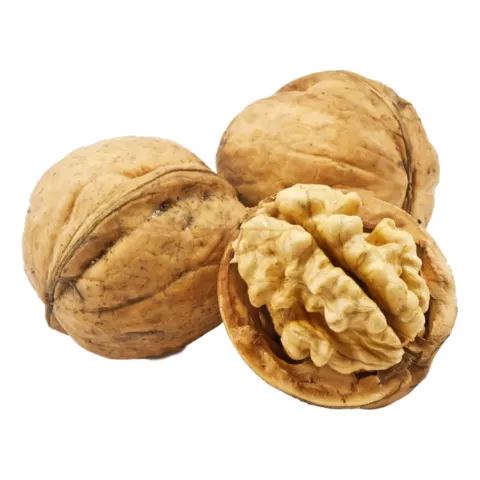 عين جمل