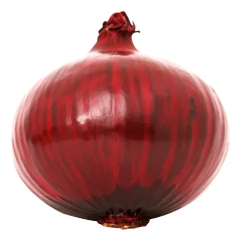 بصل أحمر