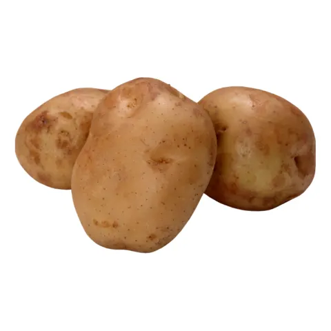 بطاطس