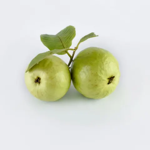جوافة