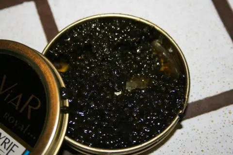 صوص كافيار