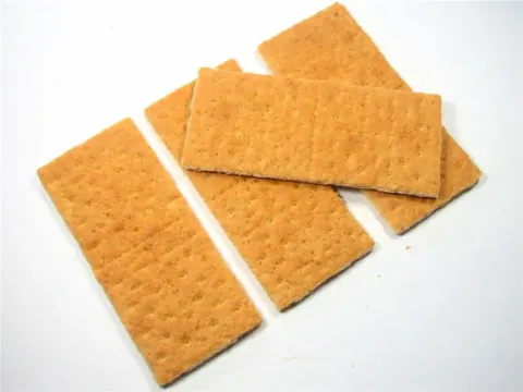قرص سادة